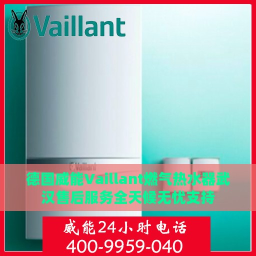 德国威能Vaillant燃气热水器武汉售后服务全天候无忧支持