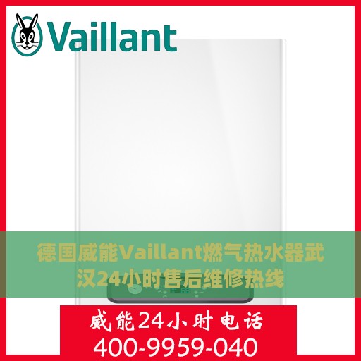 德国威能Vaillant燃气热水器武汉24小时售后维修热线