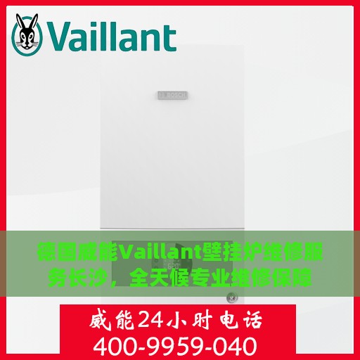 德国威能Vaillant壁挂炉维修服务长沙，全天候专业维修保障