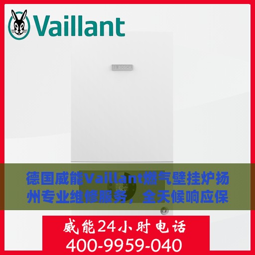 德国威能Vaillant燃气壁挂炉扬州专业维修服务，全天候响应保障温暖家居