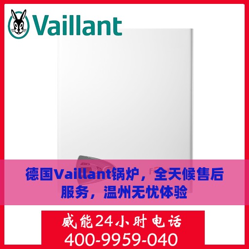 德国Vaillant锅炉，全天候售后服务，温州无忧体验