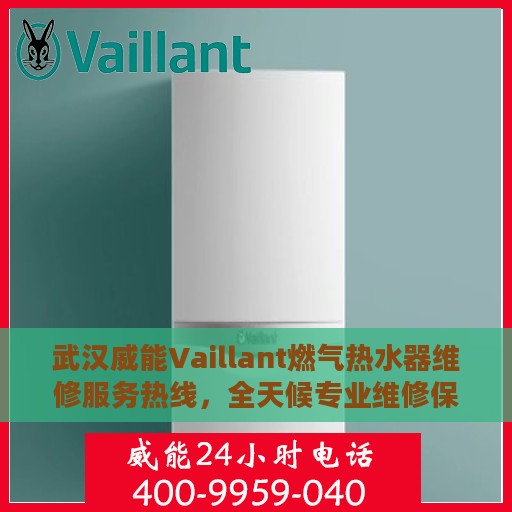 武汉威能Vaillant燃气热水器维修服务热线，全天候专业维修保障