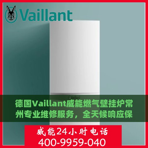 德国Vaillant威能燃气壁挂炉常州专业维修服务，全天候响应保障温暖家居