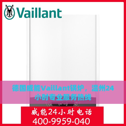德国威能Vaillant锅炉，温州24小时专业服务热线