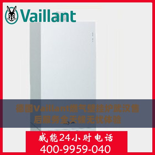 德国Vaillant燃气壁挂炉武汉售后服务全天候无忧体验