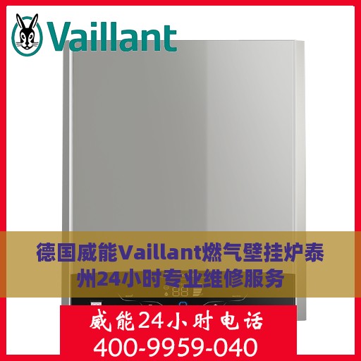 德国威能Vaillant燃气壁挂炉泰州24小时专业维修服务