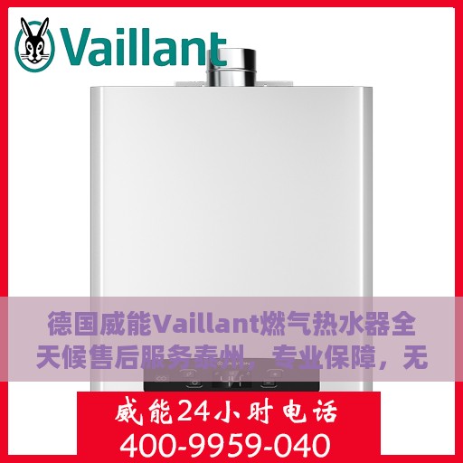 德国威能Vaillant燃气热水器全天候售后服务泰州，专业保障，无忧体验