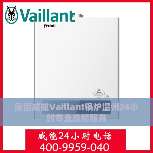 德国威能Vaillant锅炉温州24小时专业维修服务