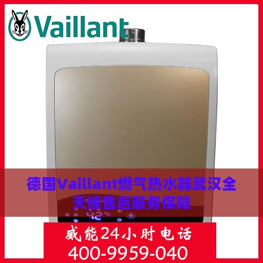 德国Vaillant燃气热水器武汉全天候售后服务保障