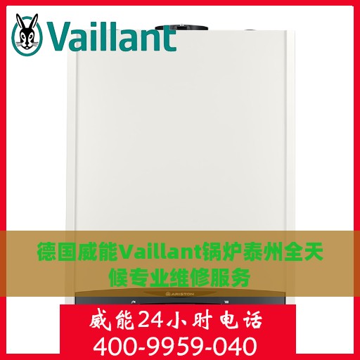 德国威能Vaillant锅炉泰州全天候专业维修服务