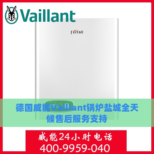 德国威能Vaillant锅炉盐城全天候售后服务支持