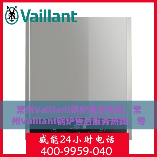 常州Vaillant锅炉售后电话，常州Vaillant锅炉售后服务热线，专业维修，快速响应，贴心服务！