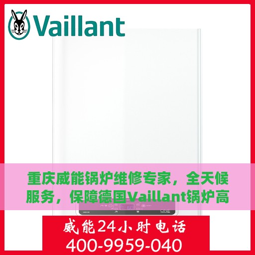 重庆威能锅炉维修专家，全天候服务，保障德国Vaillant锅炉高效运行