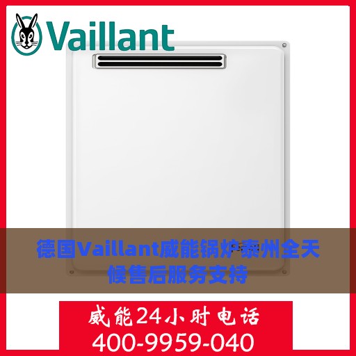 德国Vaillant威能锅炉泰州全天候售后服务支持