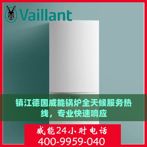 镇江德国威能锅炉全天候服务热线，专业快速响应