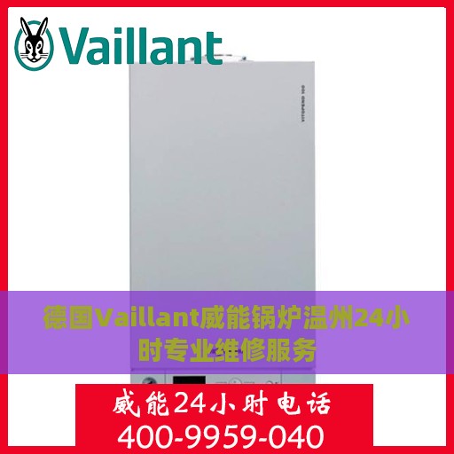 德国Vaillant威能锅炉温州24小时专业维修服务