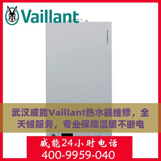武汉威能Vaillant热水器维修，全天候服务，专业保障温暖不断电