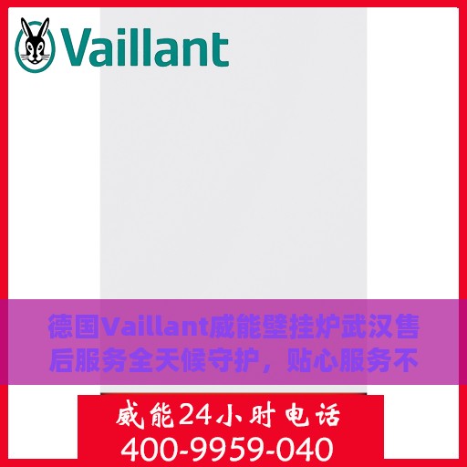 德国Vaillant威能壁挂炉武汉售后服务全天候守护，贴心服务不间断