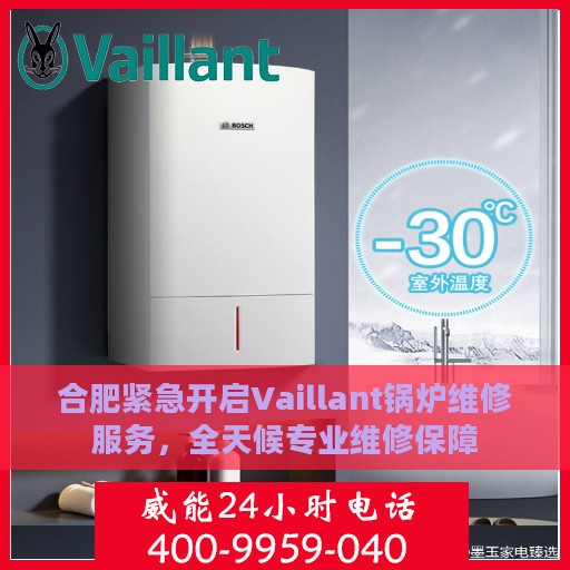 合肥紧急开启Vaillant锅炉维修服务，全天候专业维修保障