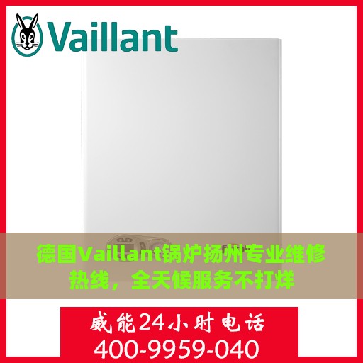 德国Vaillant锅炉扬州专业维修热线，全天候服务不打烊