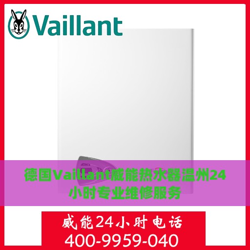 德国Vaillant威能热水器温州24小时专业维修服务