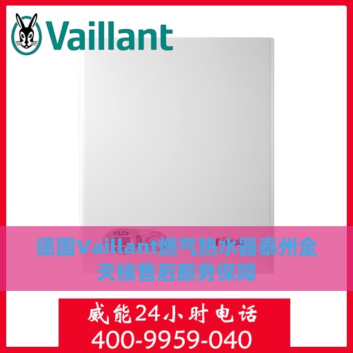 德国Vaillant燃气热水器泰州全天候售后服务保障
