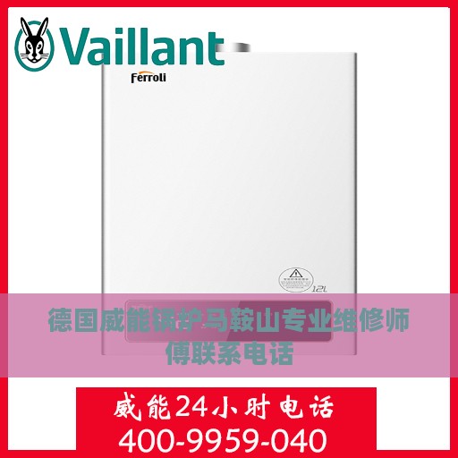 德国威能锅炉马鞍山专业维修师傅联系电话