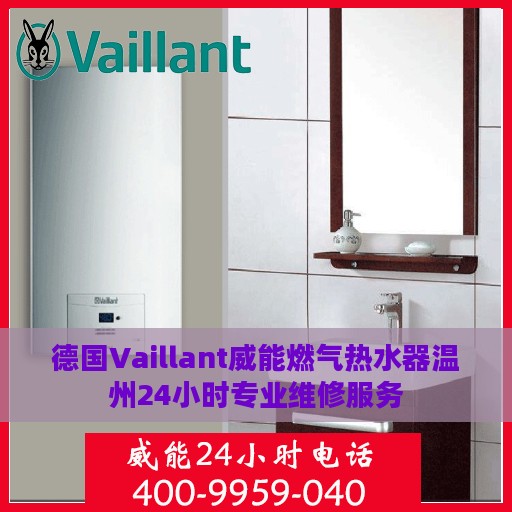 德国Vaillant威能燃气热水器温州24小时专业维修服务