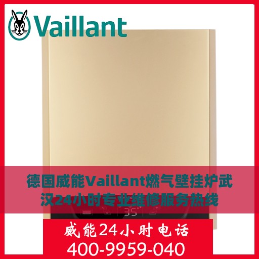 德国威能Vaillant燃气壁挂炉武汉24小时专业维修服务热线