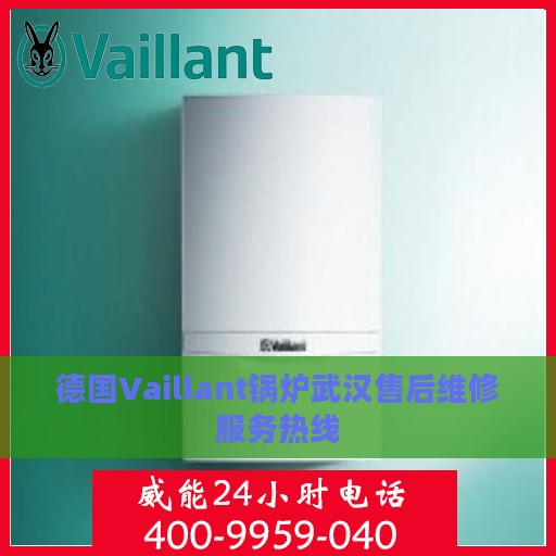 德国Vaillant锅炉武汉售后维修服务热线