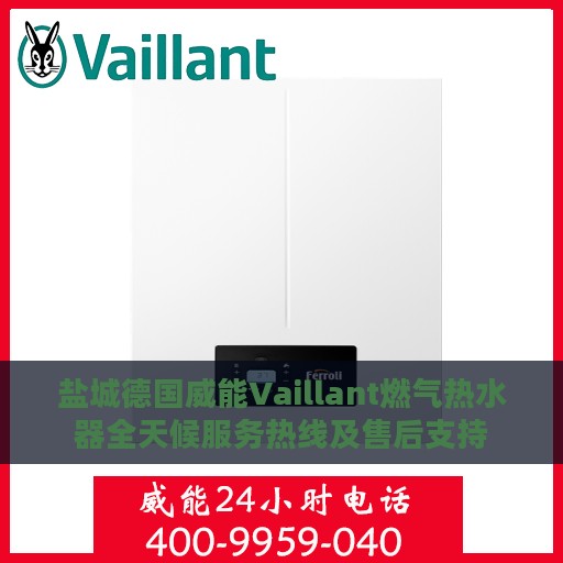 盐城德国威能Vaillant燃气热水器全天候服务热线及售后支持