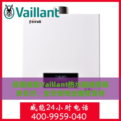 德国威能Vaillant热水器维修服务长沙，全天候专业维修支持