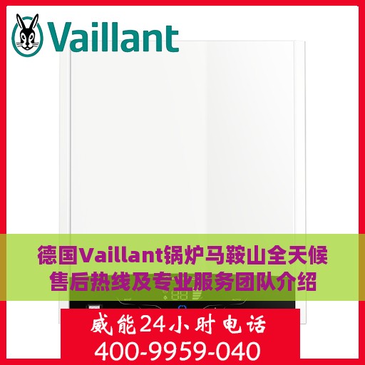 德国Vaillant锅炉马鞍山全天候售后热线及专业服务团队介绍