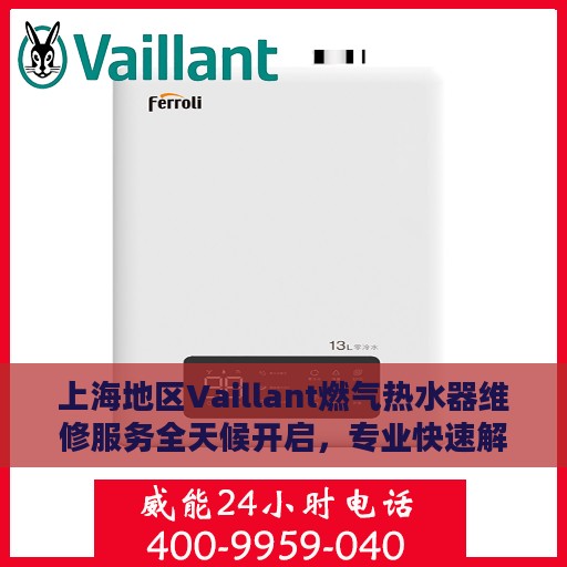 上海地区Vaillant燃气热水器维修服务全天候开启，专业快速解决故障