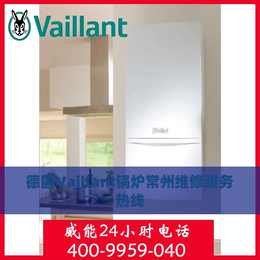 德国Vaillant锅炉常州维修服务热线
