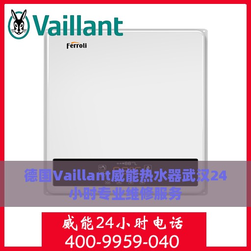 德国Vaillant威能热水器武汉24小时专业维修服务