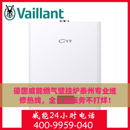 德国威能燃气壁挂炉泰州专业维修热线，全天候服务不打烊！