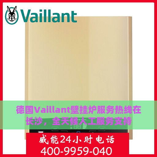 德国Vaillant壁挂炉服务热线在长沙，全天候人工服务支持