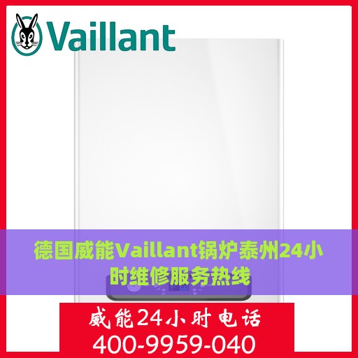 德国威能Vaillant锅炉泰州24小时维修服务热线
