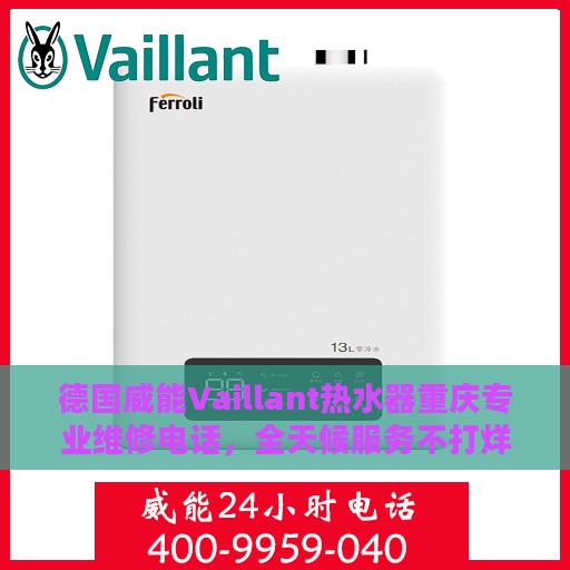 德国威能Vaillant热水器重庆专业维修电话，全天候服务不打烊