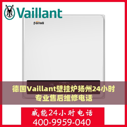德国Vaillant壁挂炉扬州24小时专业售后维修电话