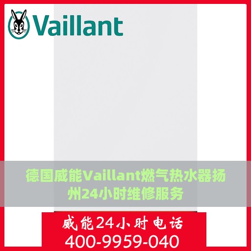 德国威能Vaillant燃气热水器扬州24小时维修服务