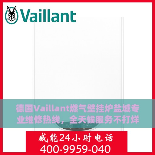 德国Vaillant燃气壁挂炉盐城专业维修热线，全天候服务不打烊