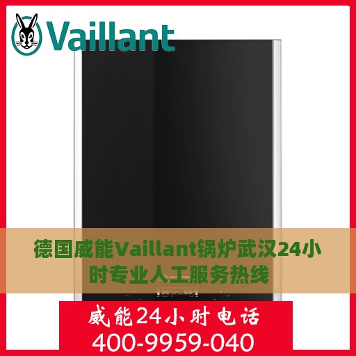 德国威能Vaillant锅炉武汉24小时专业人工服务热线