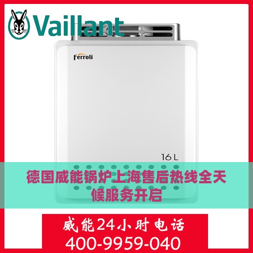 德国威能锅炉上海售后热线全天候服务开启