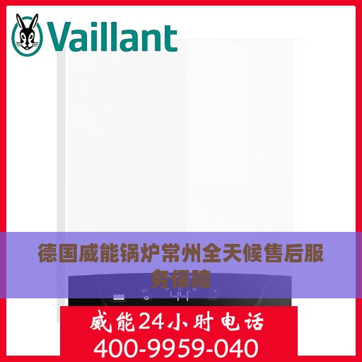 德国威能锅炉常州全天候售后服务保障