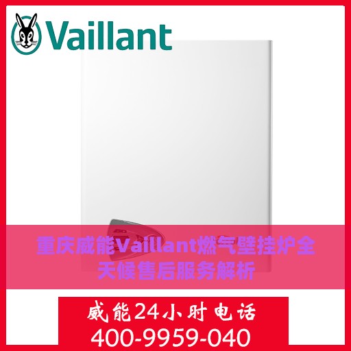 重庆威能Vaillant燃气壁挂炉全天候售后服务解析
