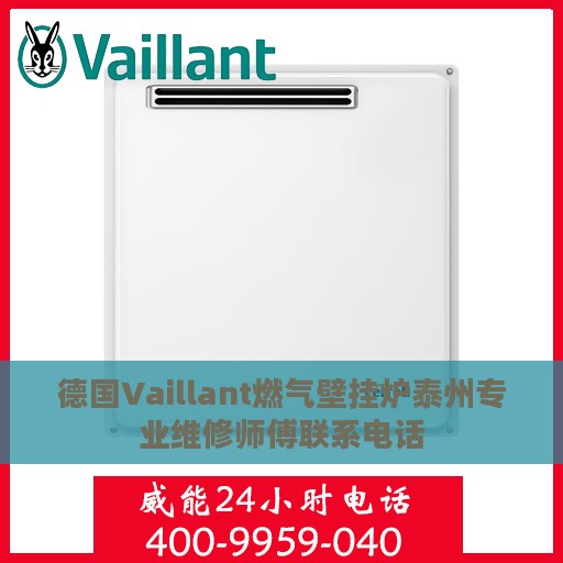 德国Vaillant燃气壁挂炉泰州专业维修师傅联系电话