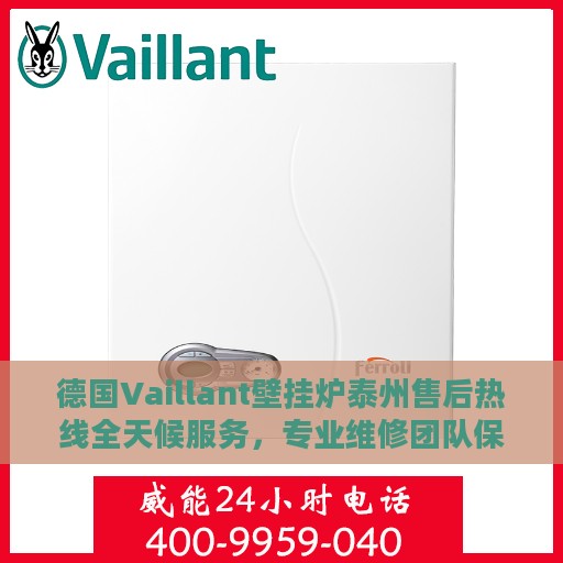 德国Vaillant壁挂炉泰州售后热线全天候服务，专业维修团队保障您的温暖生活