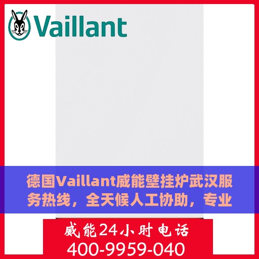 德国Vaillant威能壁挂炉武汉服务热线，全天候人工协助，专业解答与售后无忧